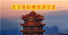 肥屄爱插插视频图片